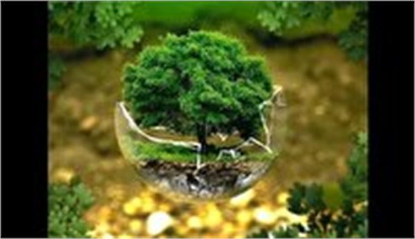 پاکستان میزبان نشست روز جهانی محیط زیست ۲۰۲۱