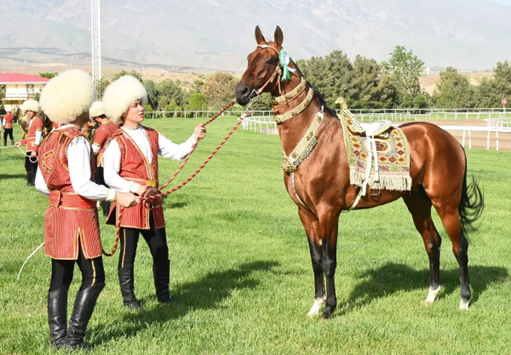 Akhal-Teke horse breeding art was included in the UNESCO cultural heritage list