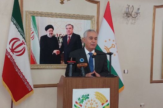 The will of leaders of Iran and Tajikistan to promote cultural relations
