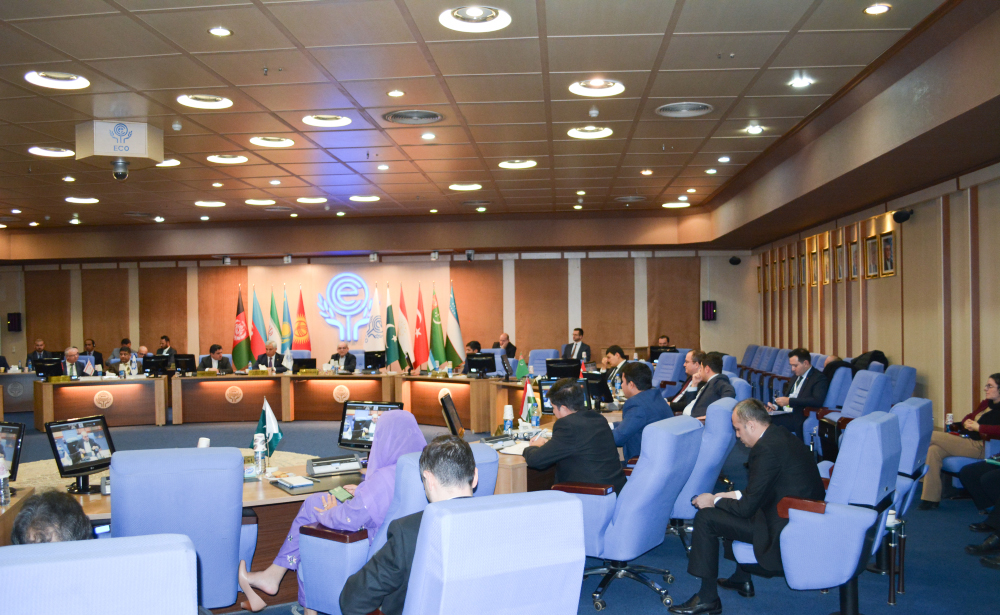Институт культуры ОЭС принял участие в 34-м заседании Совета регионального планирования ОЭС