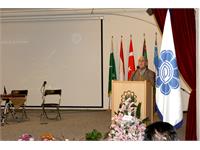 "Golden Nights", an exhibition of calligraphy painting 6