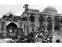 World Photography day 3