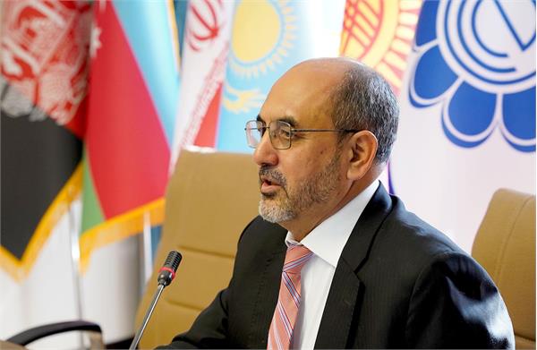 «دکتر محمد حسن» رئیس مؤسسه فرهنگی اکو