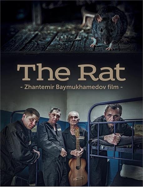 فیلم قزاقستانی "موش" برنده جوایز پنج جشنواره جهانی شد