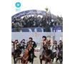 Sar-e Pol Crowned Champions of Afghanistan’s 7th Premier Buzkashi League
