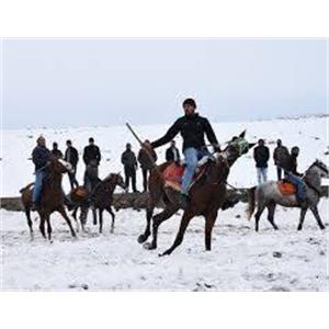 بازی های سنتی و بومی در بین کشورهای عضو اکو 7