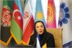 تأکید بر نقش جوامع در صیانت از میراث ناملموس جاده ابریشم در نشست موسسه فرهنگی اکو