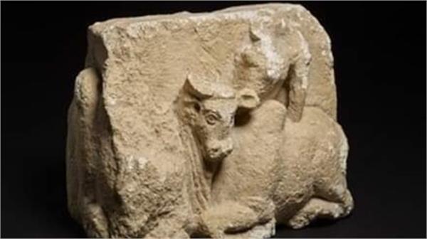 اعلامیه مطبوعاتی انجمن حمایت از میراث های فرهنگی افغانستان
