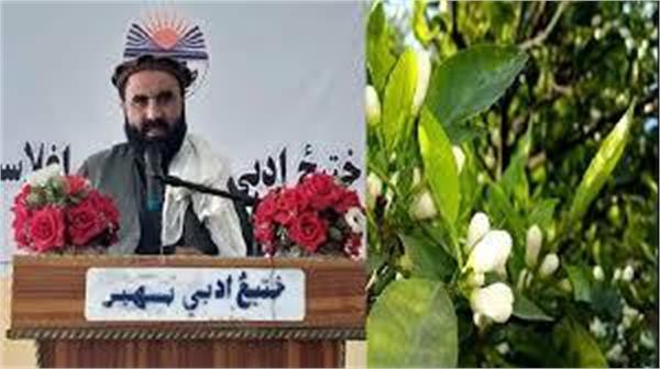 Naranj Gul Literary Festival (Nangarhar)