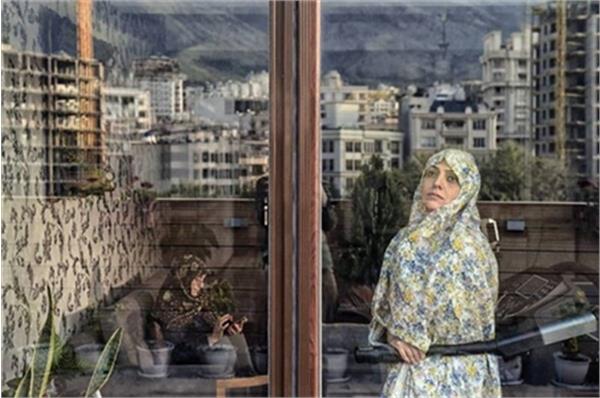 جایزه طلای فستیوال جهانی میودو برای عکاس ایرانی