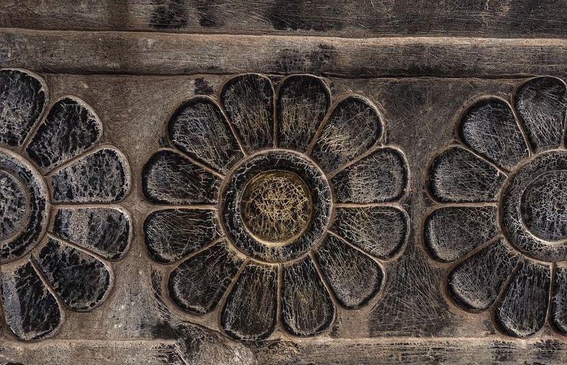 از آپادانا تا اکو: واکاوی نماد نیلوفر آبی در امتداد تاریخ و دیپلماسی