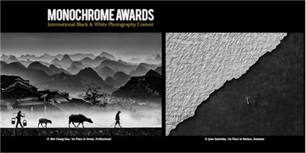 رقابت بین المللی عکاسی سیاه و سفید ۲۰۲۰