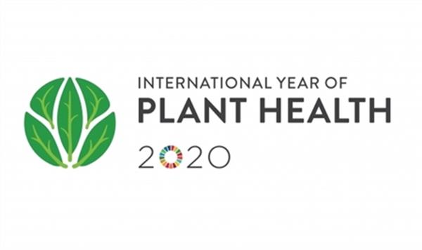سال ۲۰۲۰ سال بین المللی سلامت گیاهان