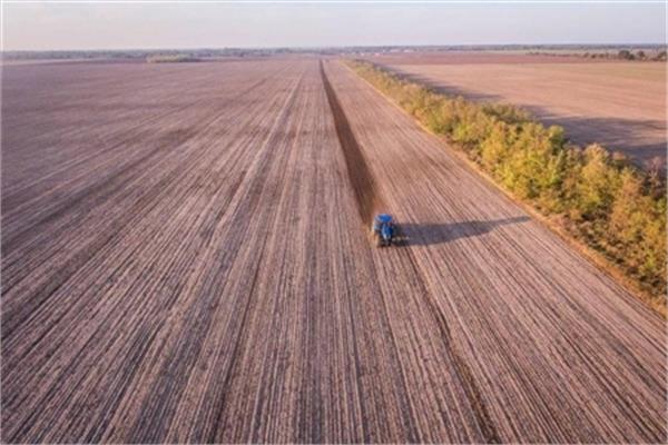 همکاری FAO با ایران در افزایش تاب آوری های محیطی