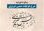 درسگفتار «شرح غزلیات شمس» در کتابخانۀ دیپلماتیک مؤسسۀ فرهنگی اکو