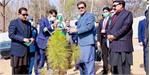 افتتاحیه کمپین کاشت درختان بهاره با حضور عمران خان