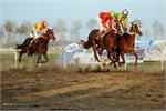 ECI Supports International Equestrian Races