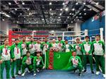 Turkmen kickboxers won 10 medals at the World Cup in Hungary