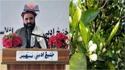 جشنواره ادبی نارنج‌گل (ننگرهار)