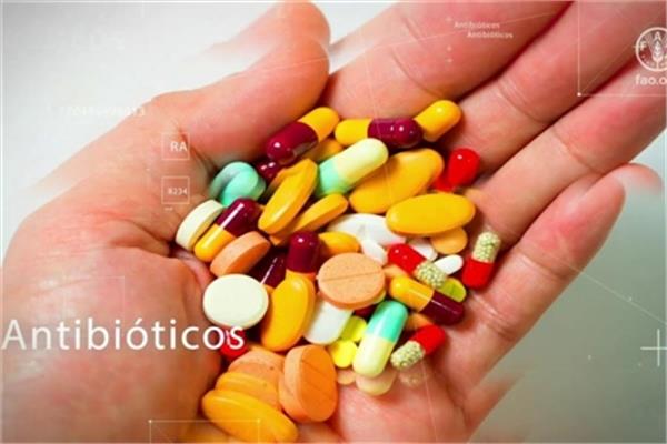 تازه ترین هشدار فائو درباره تهدیدات امنیت غذایی