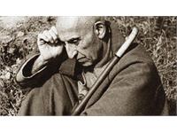 World Photography day 7