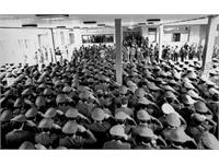 World Photography day 4