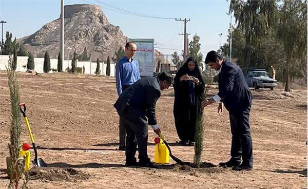 موسسه فرهنگی اکو  سبز می‌شود؛ کاشت نهال در یزد