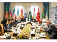 Commemoration of Mir Sayyid Ali Hamadani’s 5