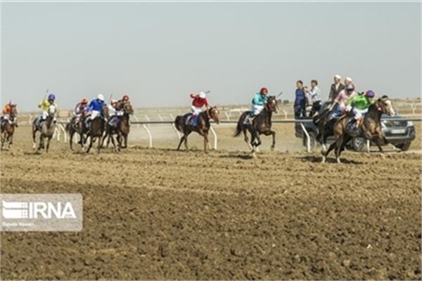 Akhal Voices Readiness to Host Turkmenistan-Iran Horse Racing Competitions