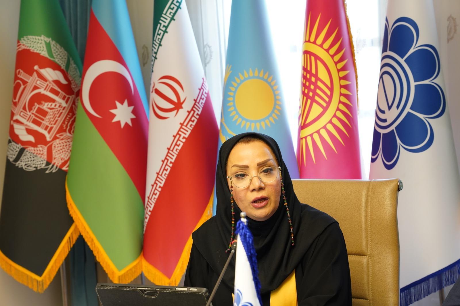تأکید بر نقش جوامع در صیانت از میراث ناملموس جاده ابریشم در نشست موسسه فرهنگی اکو