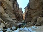 Iran's Tabas Geopark internationally inscribed
