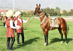 Akhal-Teke horse breeding art was included in the UNESCO cultural heritage list
