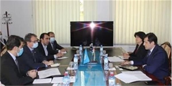 Tajikistan and WHO to Promote Cooperation