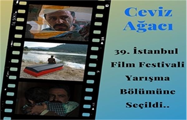 ”درخت گردو” تولید مشترک سینمایی ایران و ترکیه