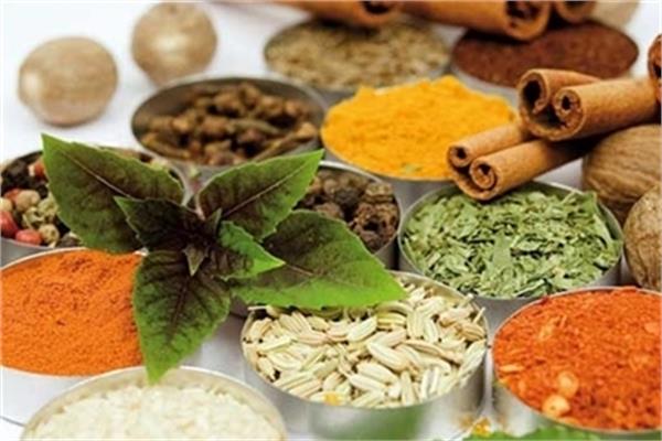 Iran to Register Traditional Medicine on UNESCO List