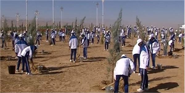 کاشت 25 میلیون درخت در جشن بی‌طرفی ترکمنستان