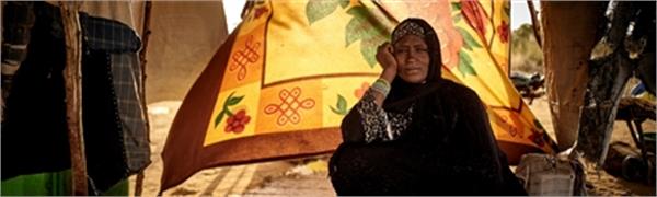 طرح بشردوستانه سازمان ملل متحد  برای مقابله با کووید-۱۹