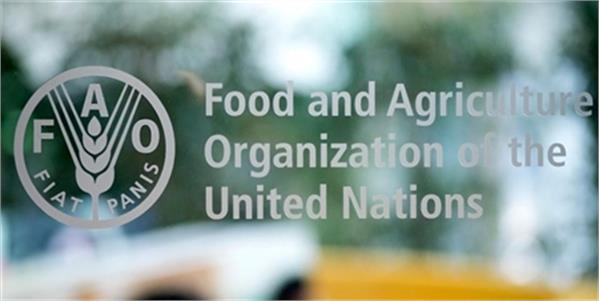 سند همکاری 17 میلیون دلاری ازبکستان و FAO