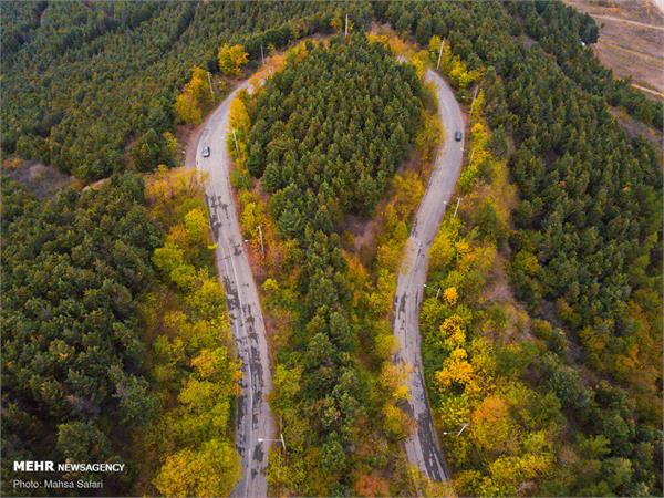 جنگل‌های هیرکان جمهوری آذربایجان در فهرست میراث جهانی یونسکو ثبت شد